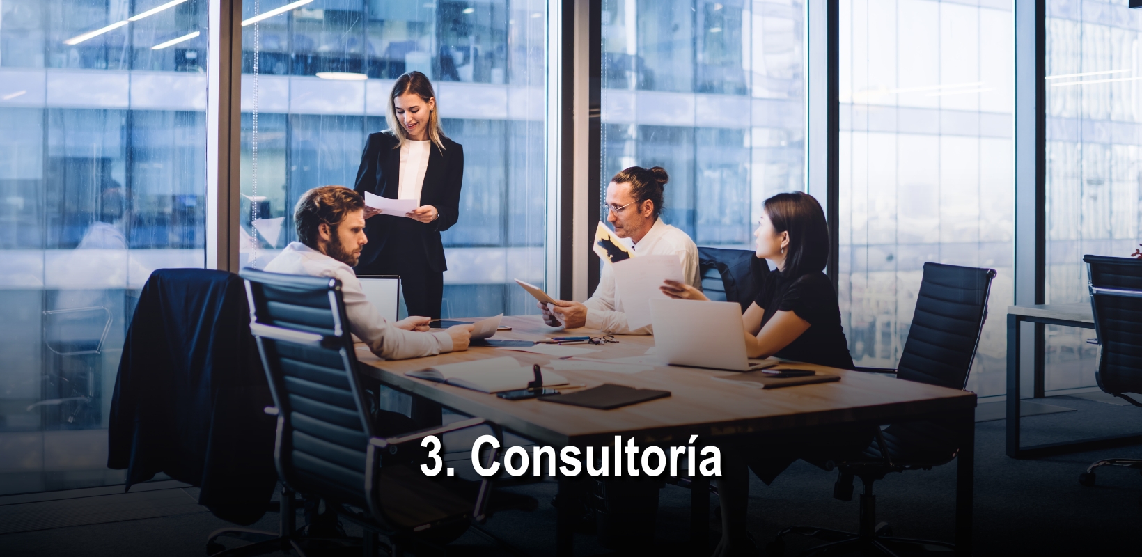 Consultoria